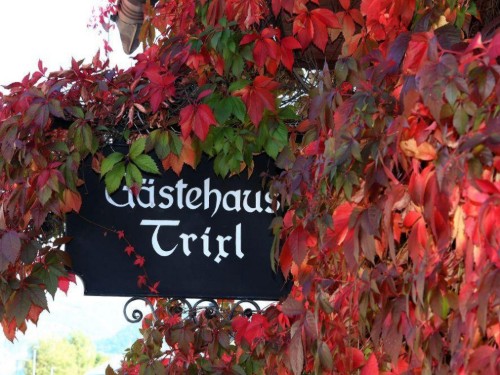 Semesterlägenhet - 4 personer -  - Zellermoosstraße - 5700 - Zell Am See