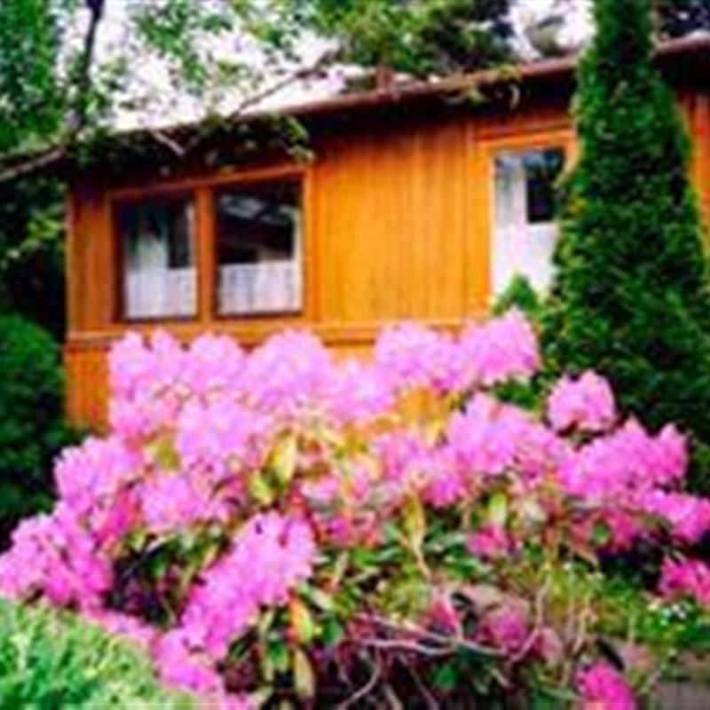 Sommerhus - 2 personer -  - Fontanestr. - 17192 - Waren (Müritz)