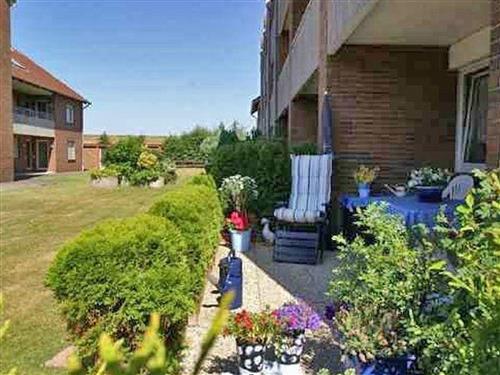 Ferielejlighed - 2 personer -  - Norden - 26506