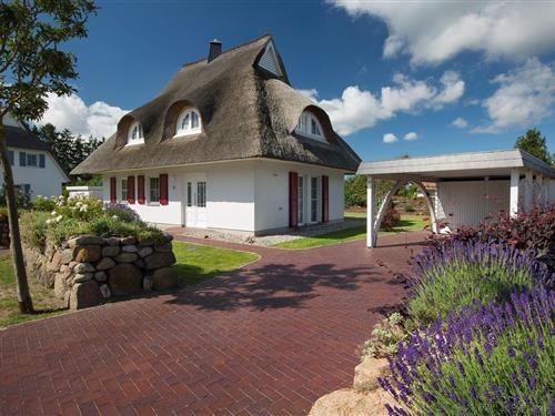 Feriehus - 6 personer -  - Am Schwanenschlage - 18356 - Fuhlendorf