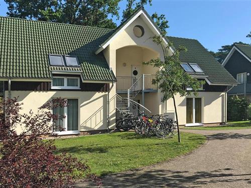 Ferieleilighet - 4 personer -  - 17449 - Trassenheide