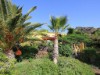 Bilde 4