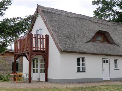 Ferieleilighet - 4 personer -  - Zum Möwenort - 17440 - Lütow