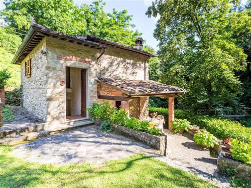 Fritidshus - 4 personer -  - Vicchio - 50039