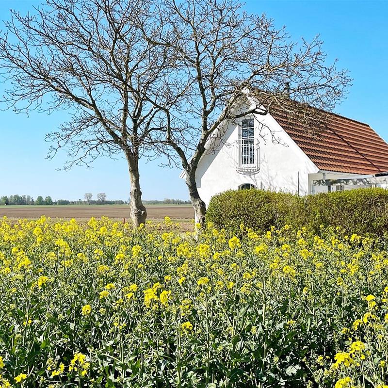  - 6 personer -  - Dybäck - Skurup - 27454 - Skivarp