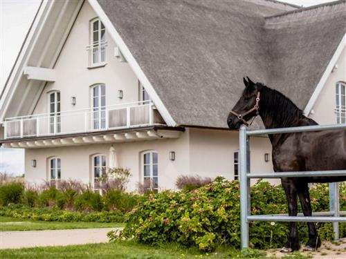 Ferielejlighed - 6 personer -  - Ballitzer Weg - 17406 - Rankwitz / Reestow