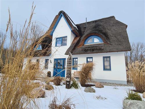 Holiday Home/Apartment - 6 persons -  - XL- Reetdachhaus, Urlaub mit Hund, Ferien für 11 Personen - 18230 - Rerik