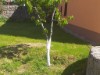 Bilde 4