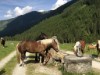 Bild 54