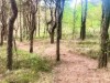 Billede 9