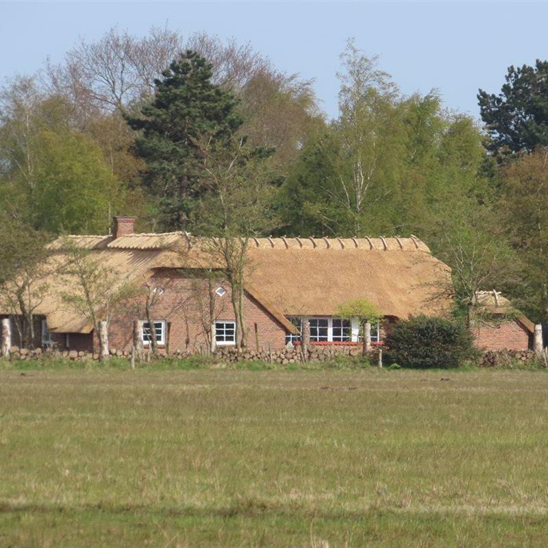 Ferienhaus - 12 Personen -  - Trifoliumvej - Marielyst - 4873 - Väggerlöse