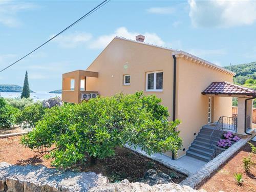 Ferielejlighed - 6 personer -  - Molunat bb - Dubrovnik-Molunat - 20215 - Molunat