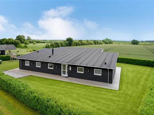 Sommerhus - 12 personer -  - Podehaven - Sandersvig - 6100 - Haderslev
