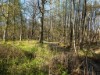 Bild 40 - Ude