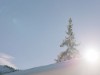Billede 2