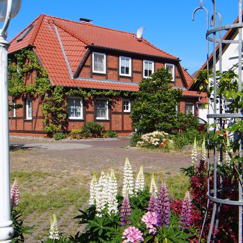 Ferielejlighed - 2 personer -  - Birkmaase - 18374 - Ostseeheilbad Zingst