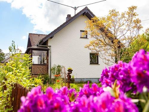 Feriehus - 6 personer -  - Hönningen - 53940 - Hellenthal