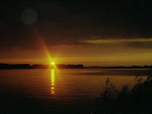 Sommerhus - 4 personer -  - Fritz- Behn- Straße 35 - - 17429 - Benz