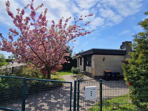 Bungalow - 4 persons -  - Störtebeker Weg - 23743 - Lensterstrand