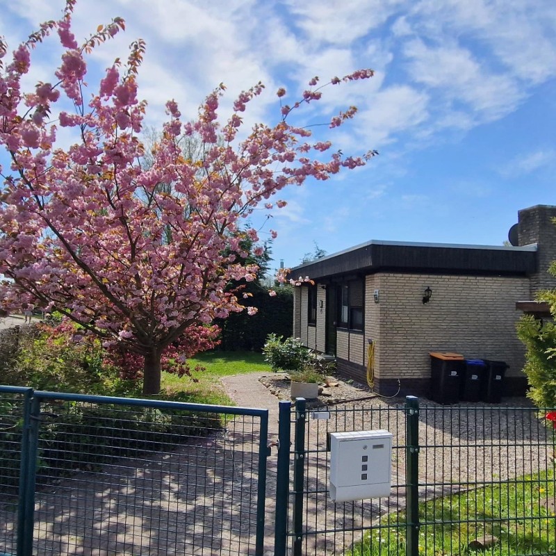 Bungalow - 4 personer -  - Störtebeker Weg - 23743 - Lensterstrand