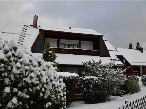 Ferielejlighed - 4 personer -  - Glockenbergweg - 38707 - Altenau