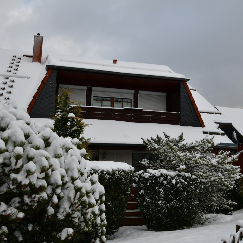 Ferielejlighed - 4 personer -  - Glockenbergweg - 38707 - Altenau