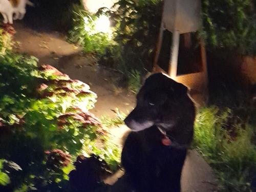 Ferielejlighed - 4 personer -  - Hardtstraße - 53945 - Blankenheim