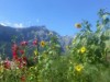 Image 5 - Outside