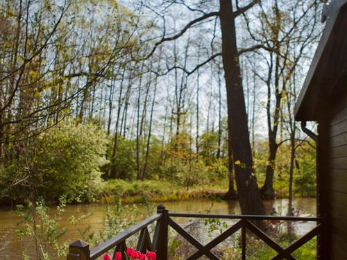 Feriehus / leilighet - 4 personer -  - Schloßbezirk - 03222 - Lübbenau/Spreewald