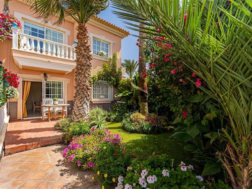 Holiday apartment - 4 persons -  - 38612 - Santa Cruz De Tenerife