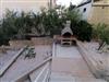Billede 4