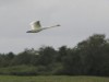Image 23