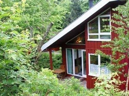 Holiday Home/Apartment - 5 persons -  - Zum Grundberg - 32699 - Extertal