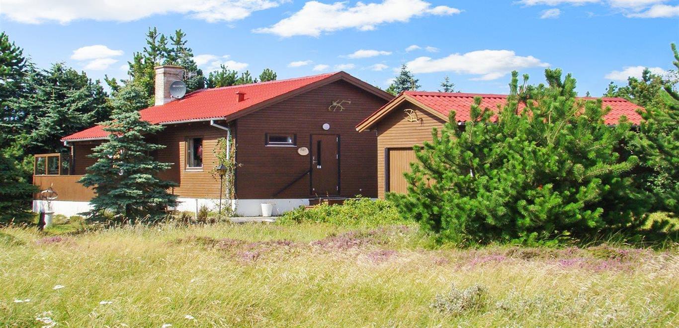 Emne nr.: 121-17-1165