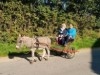 Bild 19