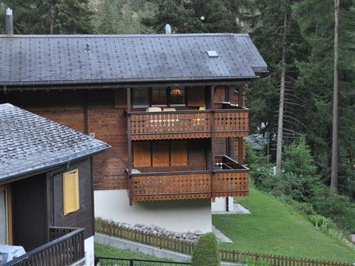 Ferieleilighet - 4 personer -  - Täätschestrasse - 3914 - Belalp / Belalp