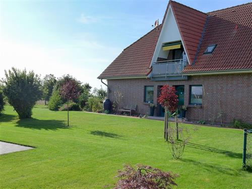 Ferienwohnung - 9 Personen -  - Am Saaler Bach - 18317 - Saal / Hessenburg