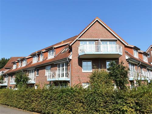 Ferieleilighet - 2 personer -  - Ostseeallee - 23669 - Niendorf/Ostsee