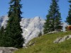Bild 31