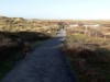 Bild 22