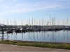 Bilde 46