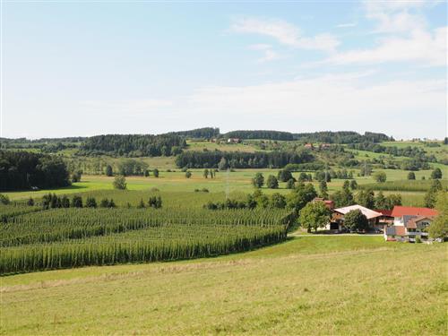 Bondegård - 2 personer -  - Allisreute - 88285 - Bodnegg