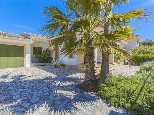 Feriehus / leilighet - 6 personer -  - 07458 - Alcudia