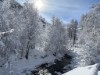 Billede 22 - Ude