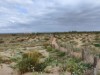 Bilde 37
