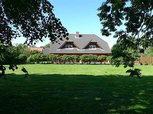 Ferienhaus - 5 Personen -  - Lindenweg - 23769 - Fehmarn / Lemkendorf