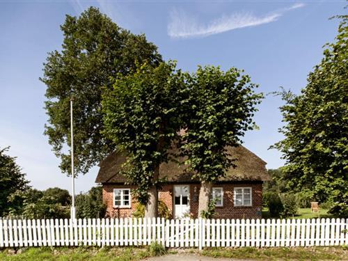 Sommerhus - 2 personer -  - Babbestraße - 24405 - Mohrkirch
