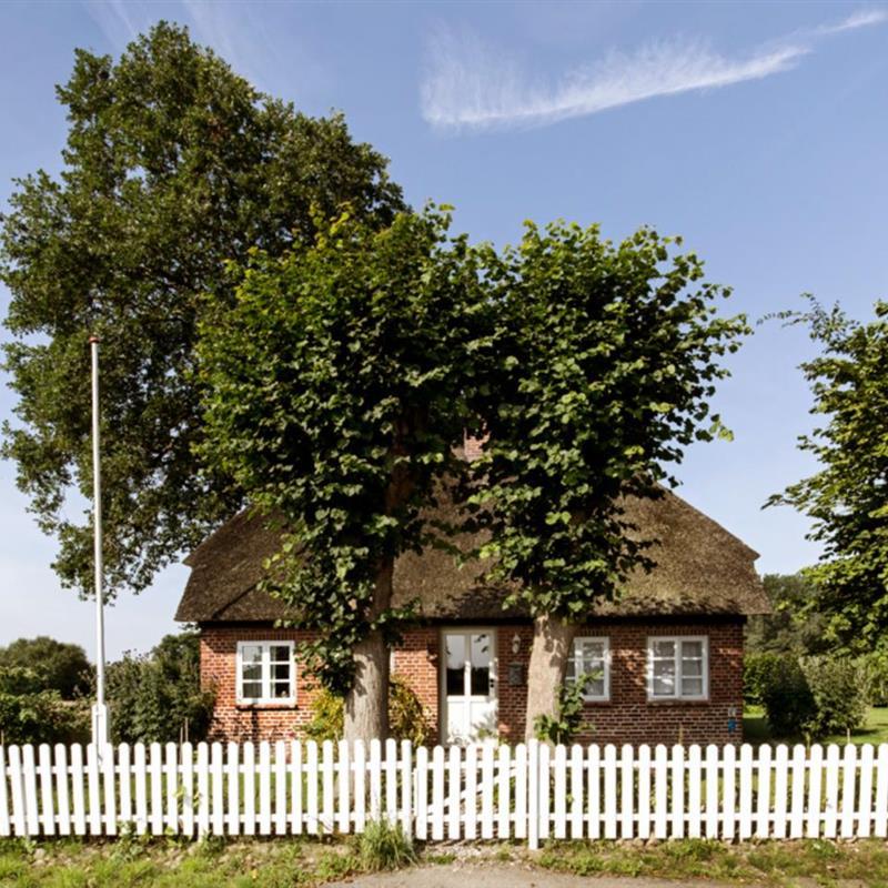 Sommerhus - 2 personer -  - Babbestraße - 24405 - Mohrkirch