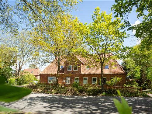 Ferienwohnung - 2 Personen -  - Dörpstraat - 23758 - Neuratjensdorf