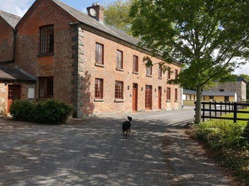 Holiday home - 8 persons -  - E32 WF97 - Piltown